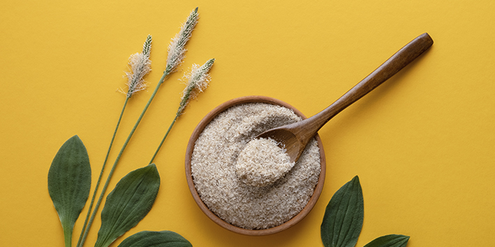 O que e psyllium psilium